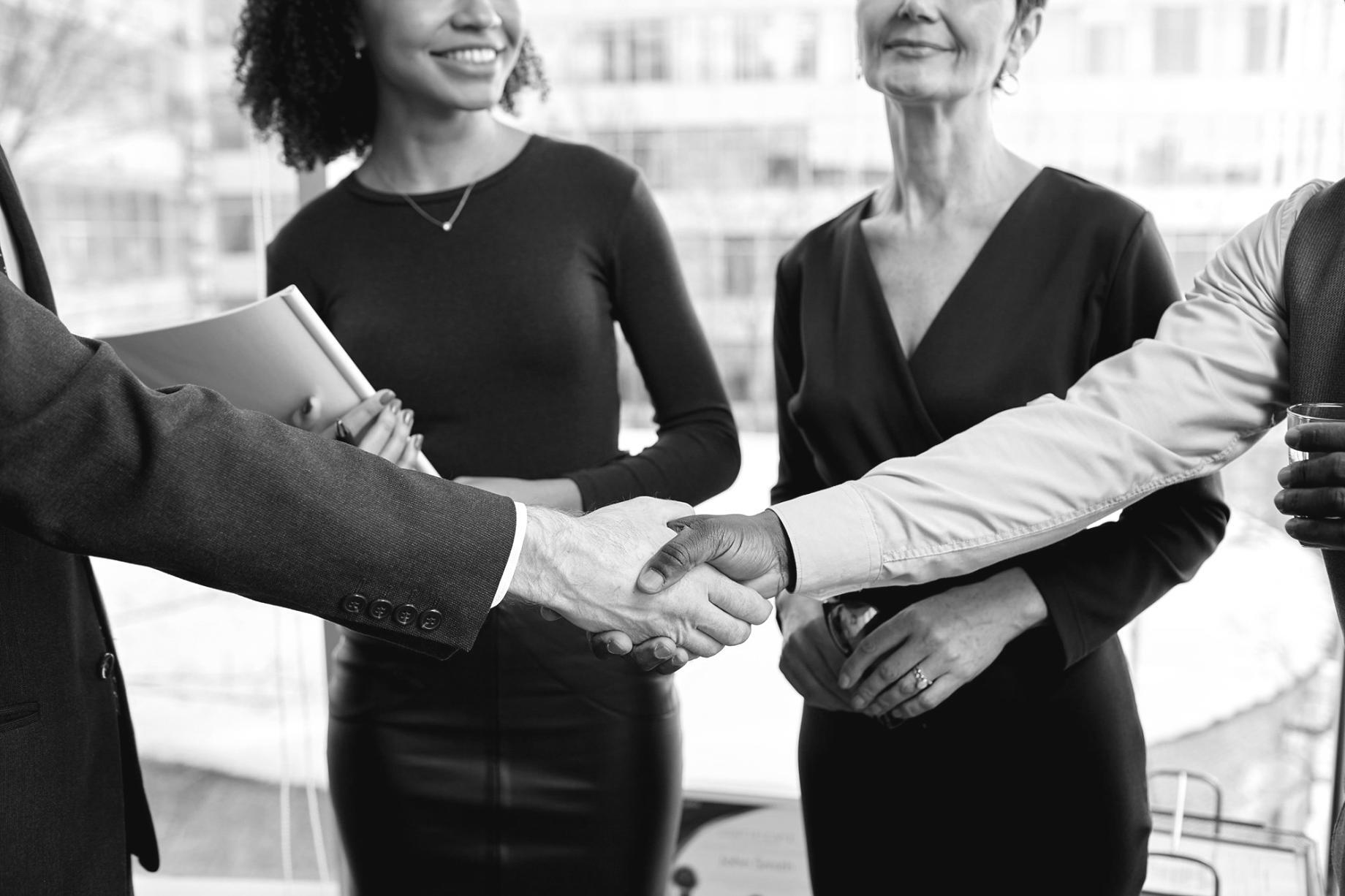 Espacio de trabajo profesional para consultas de optimización